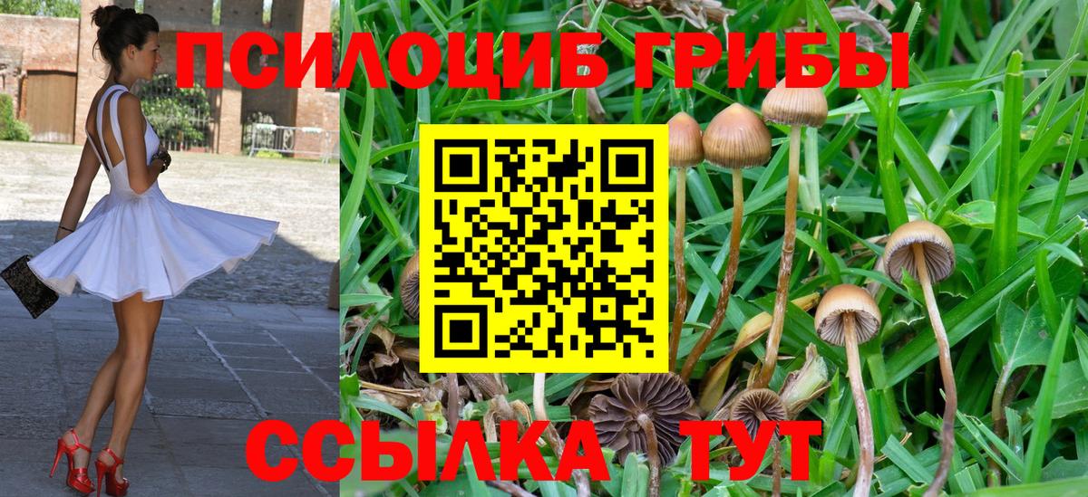 Галлюциногенные грибы MAGIC MUSHROOMS Волоколамск