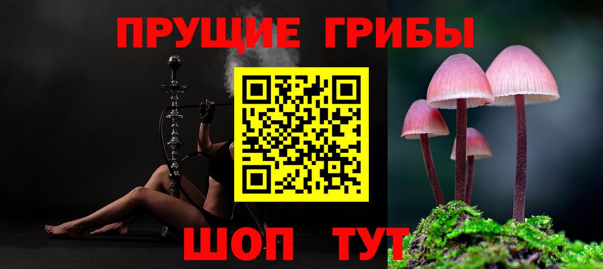 Волоколамск  где можно купить наркотик  Галлюциногенные грибы GOLDEN TEACHER  Вход с VPN  Псилоцибиновые грибы Psilocybine cubensis 