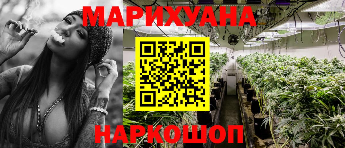 Бошки Шишки планчик Волоколамск